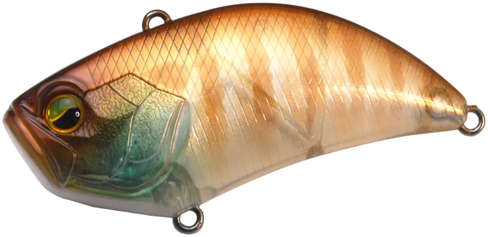 

Raid Japan Level Vibe Big Onion Gill