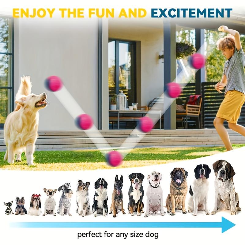 Striped Squeaky Dog Balls, Durable Chew Toys for Dental Health & Training, Non-Toxic, Bite-Resistant, All Breed Sizes, No Battery Needed
