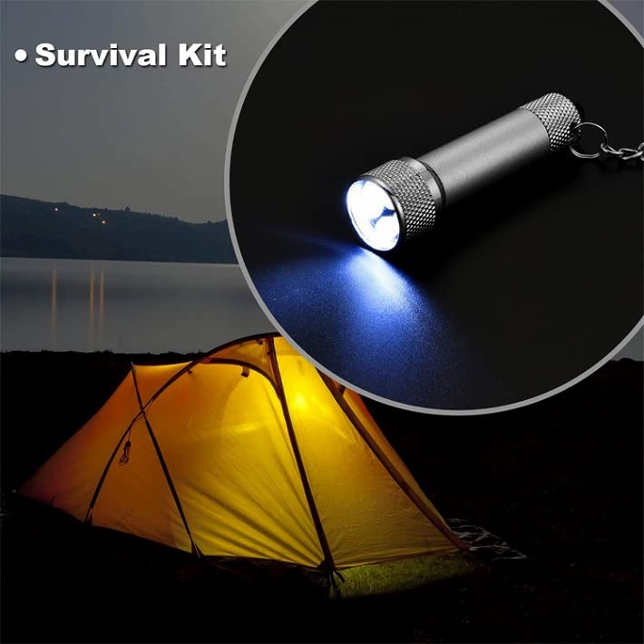 LTG LED Light Set of 5 Handy Light Keychain 7987626