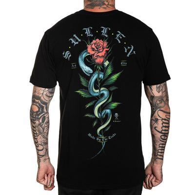 Üst giysisi – T-shirtler