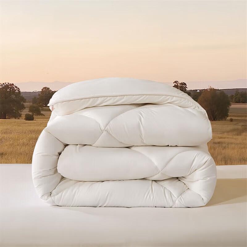 Mercury Home Textiles Australian Sunshine Wool Winter Warm Quilt