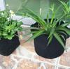 STK Nonwoven Fabric Planter Pots with Handles, Planter Bags for Cultivation and Garden Use (40*35cm (12 Gallon), Set of 10)