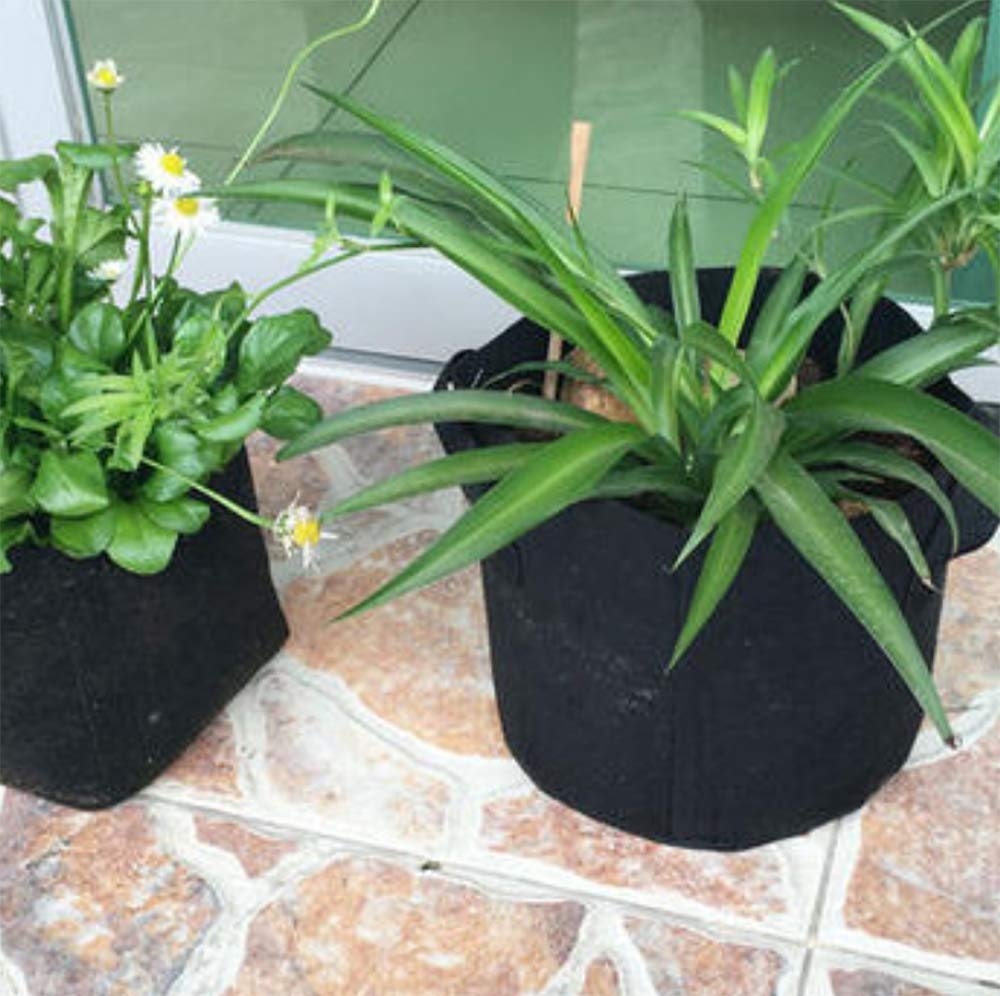 STK Nonwoven Fabric Planter Pots with Handles, Planter Bags for Cultivation and Garden Use (40*35cm (12 Gallon), Set of 10)