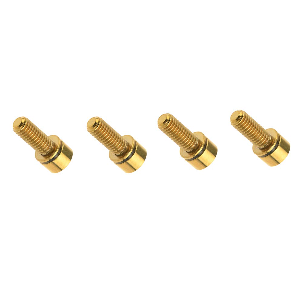 Dingtai 4pcs Titanium M6x16/18/20/25mm Fixing Washer Screw Allen Hex Bolt