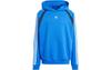 Originals ADILENIUM Sweatshirt Men's Bird Feather Blue IW3647