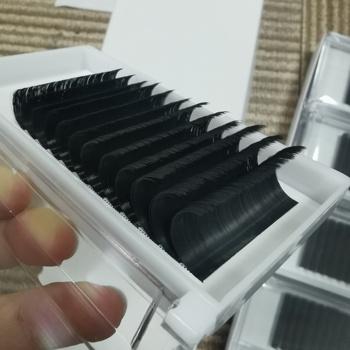 Flourishing Lashes Mega Volume Natural Long Korean PBT Fibers Handmade Matte Black Super Soft Easy Fan Eyelash Extensions Rapid