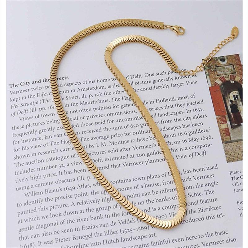Meier Necklace & accessory set: titanium steel, shimmering snake bone chain necklace & bracelet