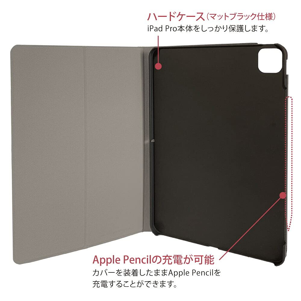 Hard Case Cover for iPad Pro 12.9-inch (2020), Black, TBC-IPP2017BK