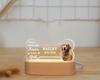 Custom Pet Photo Led Night Light Personalized Pet Growth Memorial Photo Plaque Frame Record Beautiful Pet Life Moment Decoration