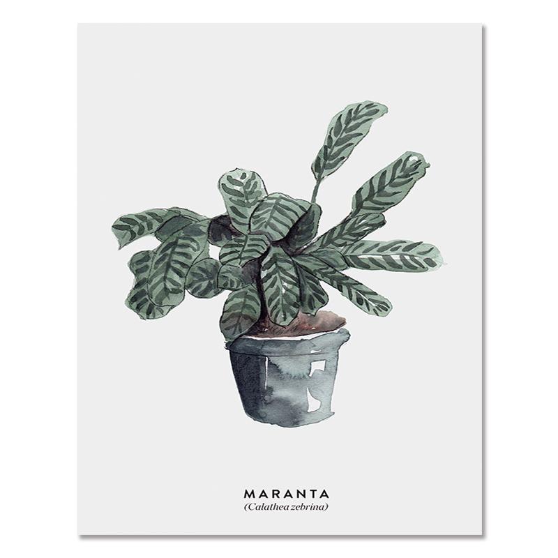 Severská zelená rastlina Listové plátno Plagáty Moderná nástenná maľba Plagát v črepníkoch Estetické obrazy do obývačky Home Decor
