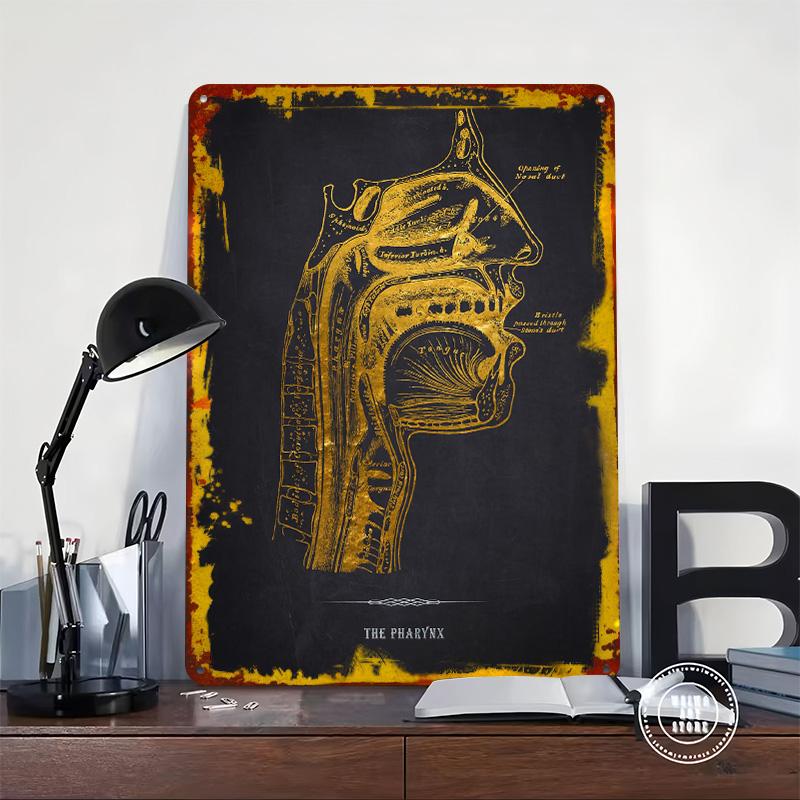Gold Pharynx Anatomy Tinplate Poster Customized Wall Art Vintage Retro Metal Signs for Office Decor Bedroom Decorations Man Cave