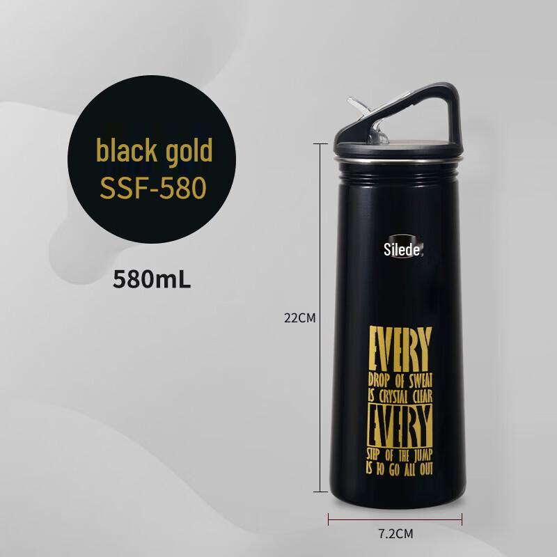 SOLIDWARE 304 Stainless Steel 580ML Portable Sports Straw Cup