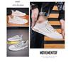 Men's Korean Style Canvas Shoes - Summer Breathable White Versatile Casual Sneakers