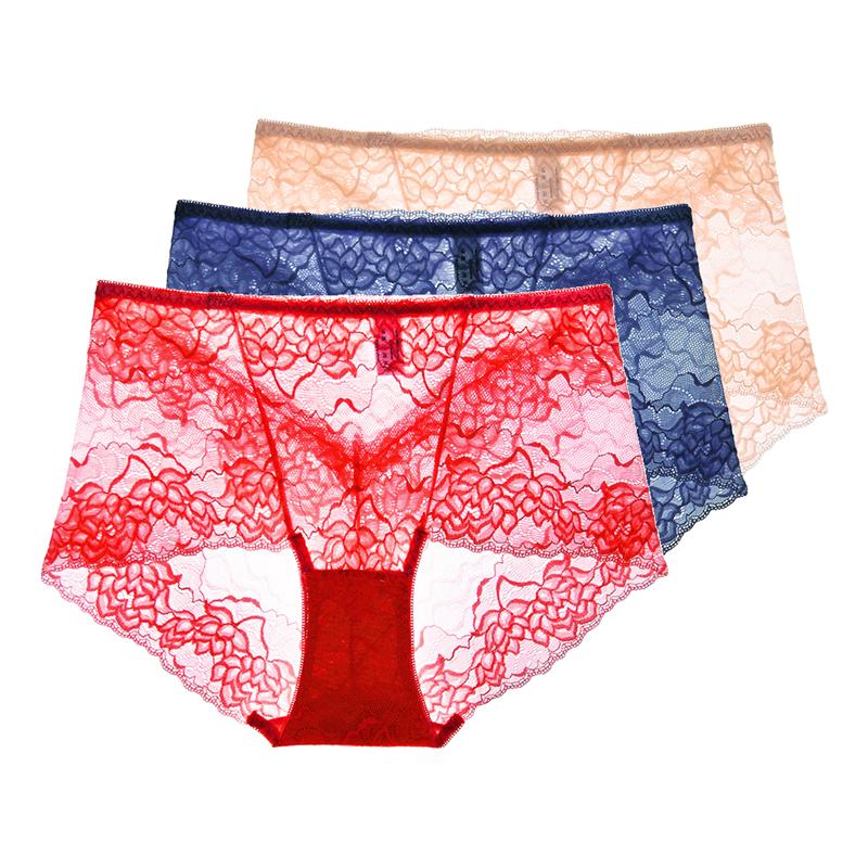 3 Pezzi Lingerie Sexy da Donna Vita Alta Slip in Pizzo Rete Trasparente Boyshorts Slip da Donna