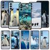 Penguin Arctic Phone Case For Samsung Galaxy S24 S23 S22 S20 Ultra S21 FE 5G S10 S9 Plus S10E S8 Soft Silicone Cover