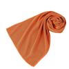 Serviette de Sport Rafraîchissante en Soie Glacée - Séchage Rapide, Logo Personnalisable, Parfaite pour le Fitness au Printemps et en Été