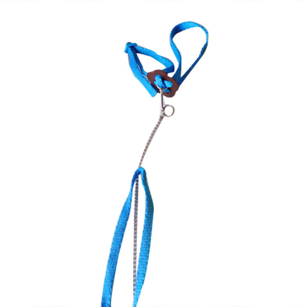 Outdoor Adjustable Bird Vest Leash Bird Training Rope Traction Strap Out Rope