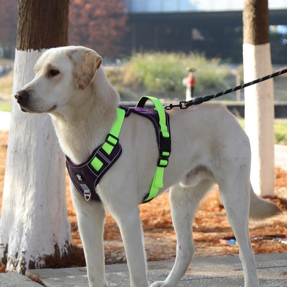 Reflective Dog Chest Strap Comfortable Dog Leash Lightweight Anti-Pull Dog Harness  Daily Walks