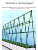 Garden Climbing Frame: Steel Plant and Flower Support for Vines on Balcony