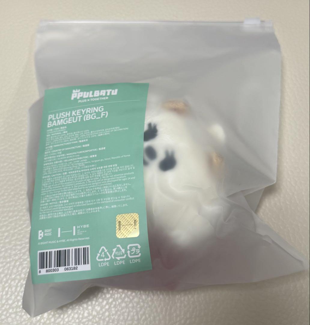 

[USED] TXT Beomgyu Bamguk Key Ring