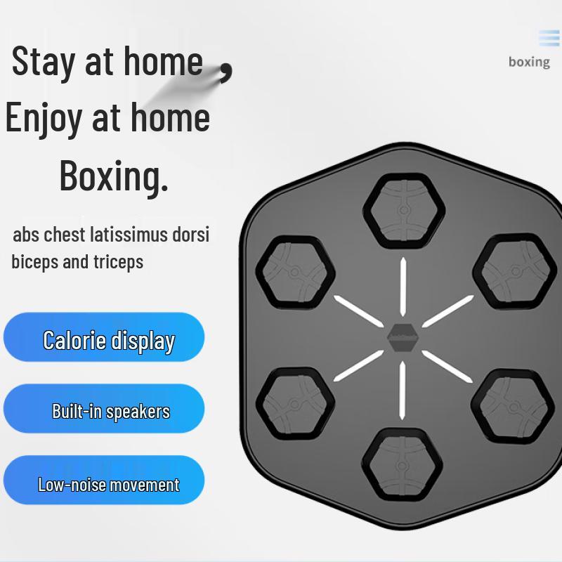 Holdbody 3.0 Smart Music Boxing Wall Target Trainer (CN version)