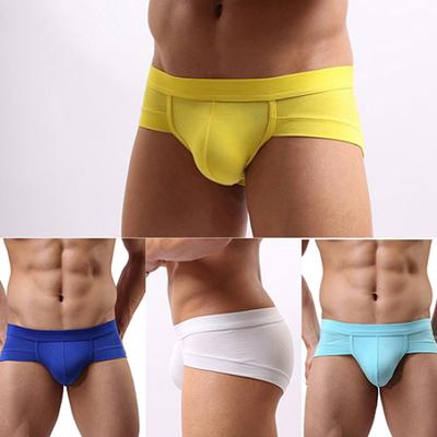 Men's Sexy Bulge Pouch Underwear Briefs Soft Elastic Modal Low Rise Underpants