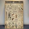 Vintage Taxidermie Kennis Metalen Bord Duurzaam Wanddecor met Gedetailleerde Anatomie Conservatiewerk en Montagetechniek