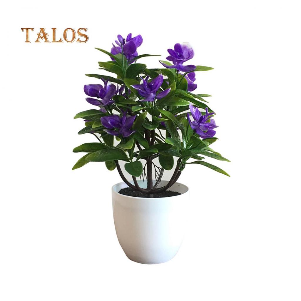 T-Garden Butterfly Orchid Flower Garden Διακόσμηση γάμου