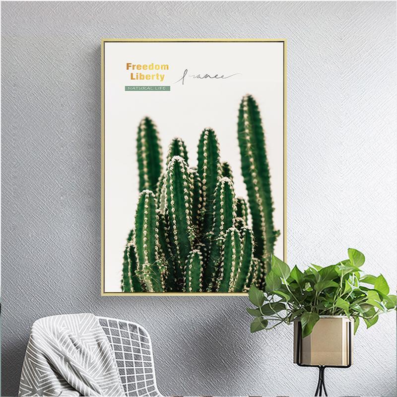 kaktus kaufen frankfurt Kaufen Sie einen großen Euphorbia-Kaktus – Urbangreen main image 1