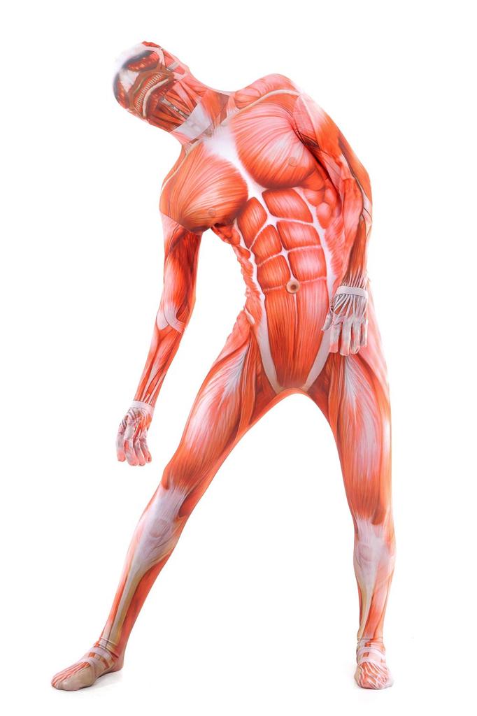 Attack on Titan Colossal Titan Full Body Zentai Cosplay Skin Tights Halloween Costume [kitamurasyokai] Costume, (L)