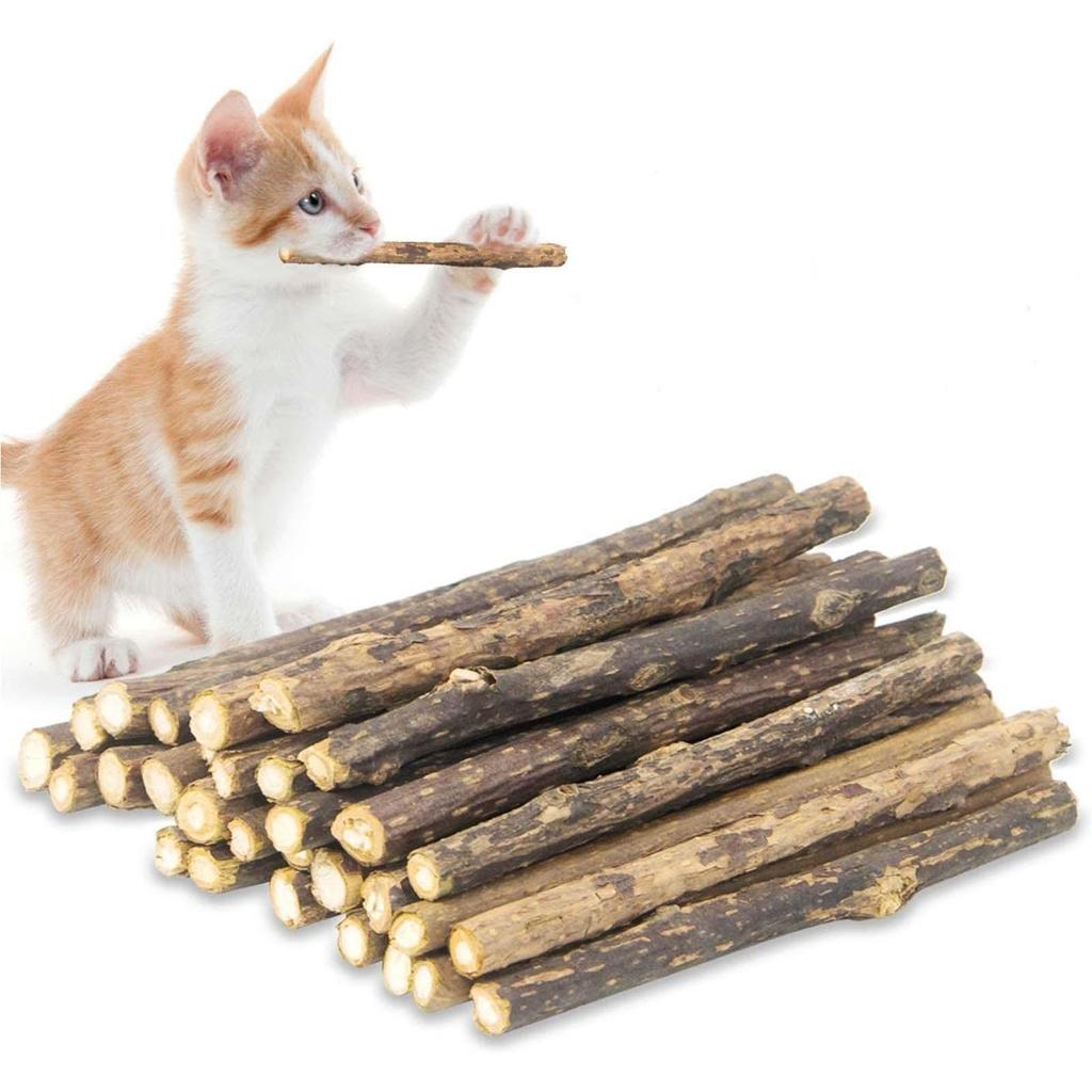 Cat Snacks Chew Catnip Stick Teeth Molar Cleaning Brush Toy For Pet