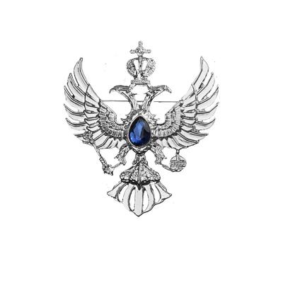 New Vintage Crystal Eagle Brooches Crown Men's Suit Coat Badge Corsage Collar Pin Brooch Jewelry Luxury Clothing Accessories