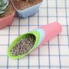 Ghiveci cu plante suculente, găleată lopată din plastic colorată, micro-peisaj, ghiveci pentru plante verzi, plantă la ghiveci, unealtă de grădină, lopată pentru sol, ghiveci pentru plante, rezervor