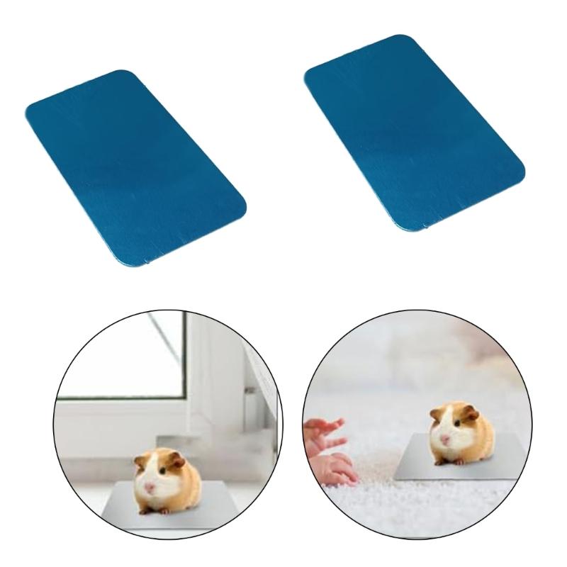 Aluminum Cooling Pad For Hamsters Rabbits Small Pet Durable Design Excercise Toy