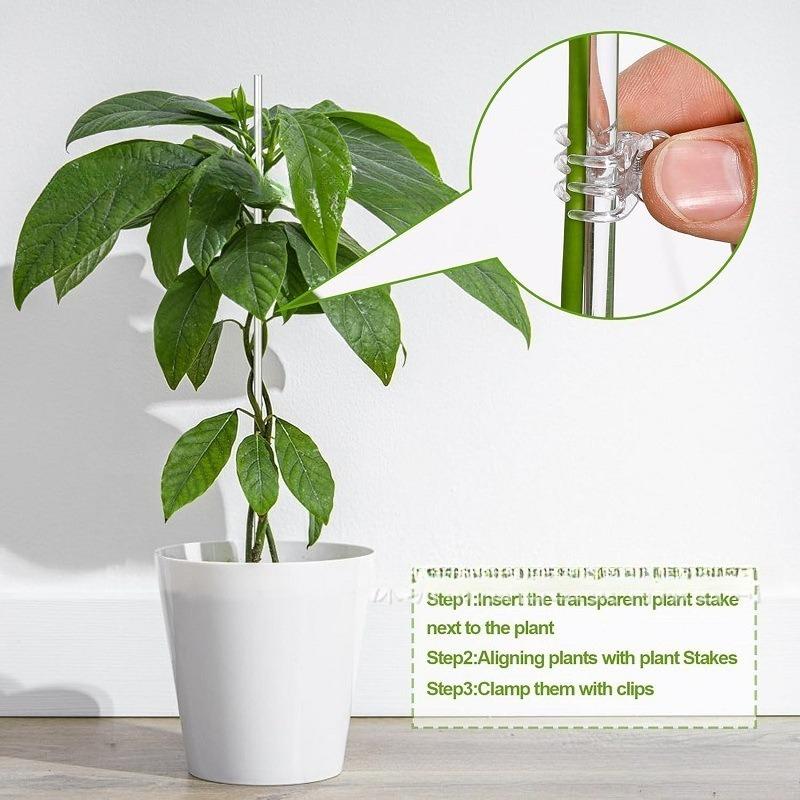 Piquets de Support pour Plantes en Acrylique Transparent de 40 cm avec Pinces Tiges de Support pour Fleurs Réutilisables Piquets de Fixation pour Tige Unique d'Orchidée ou Tige de Tomate