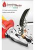 VDE Certified 1000V Insulated Electrician Pliers - Combination, Wire Cutters, Needle Nose, and Angled Pliers