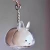 Clear Rabbit Hair Storage Keychain Puppy Hair Storage Capsule Pet's Fur Container Box Dog Cat Hanging Pendant Souvenirs