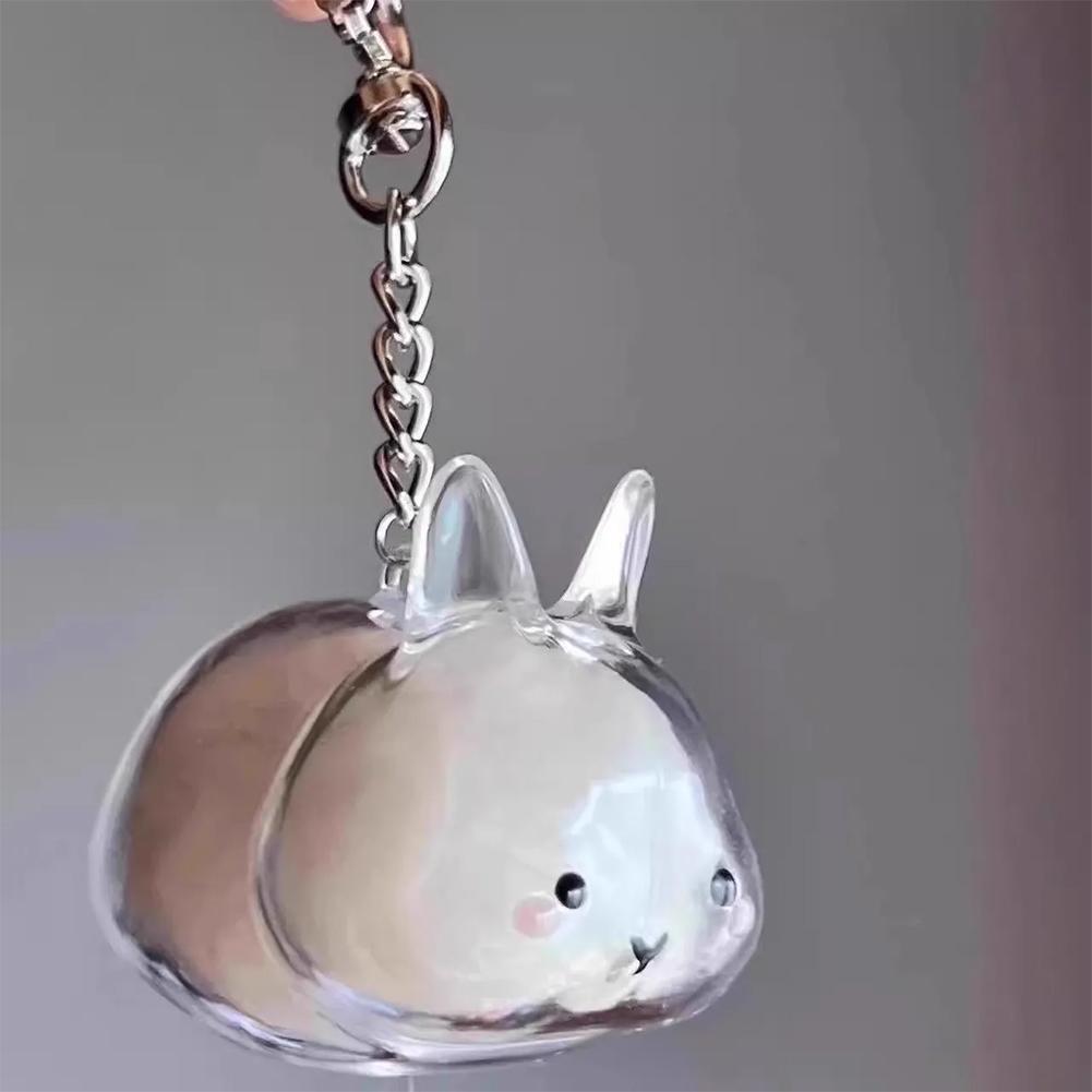 Clear Rabbit Hair Storage Keychain Puppy Hair Storage Capsule Pet's Fur Container Box Dog Cat Hanging Pendant Souvenirs