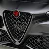 74MM Car Front Hood Emblem Rear Trunk Badge Sticker Replace Accessories For Alfa Romeo 159 147 Giulietta Stelvio 156 Giulia MiTo