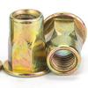 Color Zinc Semi-Hexagonal Flat Round Head Rivet Nut (M5/M6/M8)