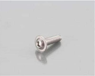 Kitaco 0900-062-10003 Flanged Button Cap Bolts (M6 X P1.0 X 20 Mm) Universal 1 Piece Stainless Steel