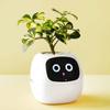 Smart Plant Pot Water Light Humidity Sensors Clock Calendar Temperature Display AI Chip Smart Planter Robot for Birthday Gifts