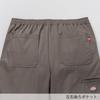 Dickies Pants