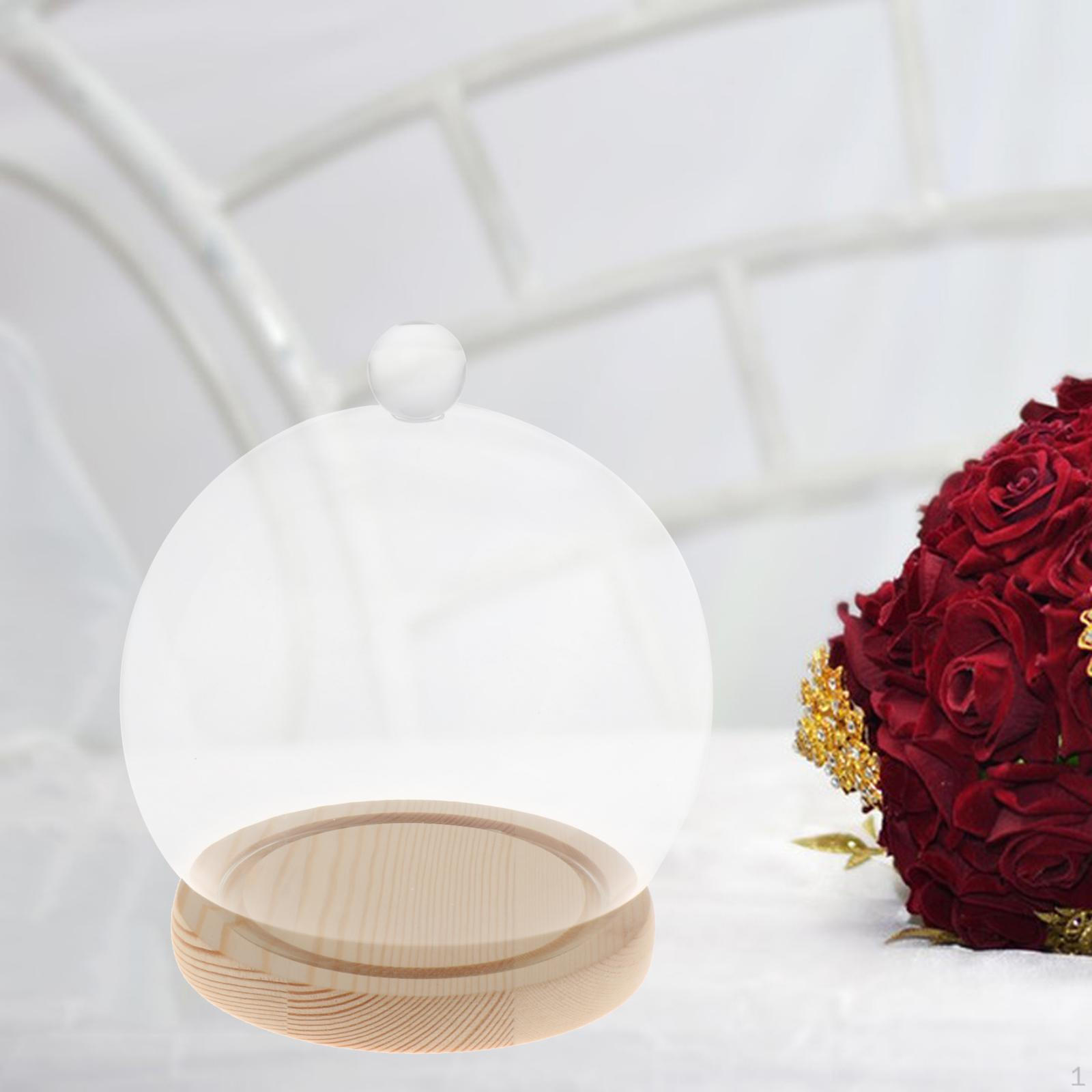 

Прозора скляна купольна вітрина для домашнього декору та подарунків light brown base