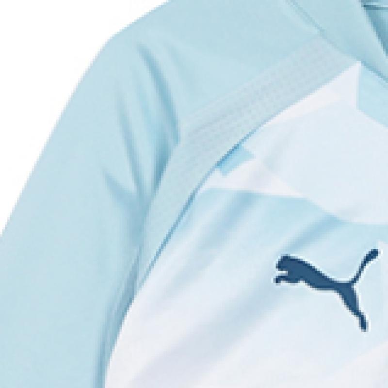 Puma Mcfc Man City Pre Match Ls Sweat Top