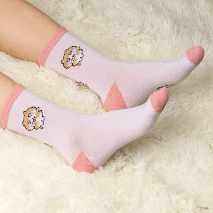 2 Types of Tintintinkle Socks