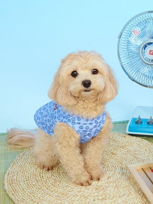 BYC Gariyas Moshimery LW (lotus)_4XL