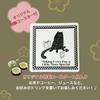 Konjac crackers flavors x 3 bags 18 1 special original Available in Korean herb umeboshi and Low low rich in dietary and zero (6 = bags) + coaster.