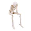Spooky Atmosphere Halloween Skull Figurines Resin Material Skeleton Decoration  Home Decor