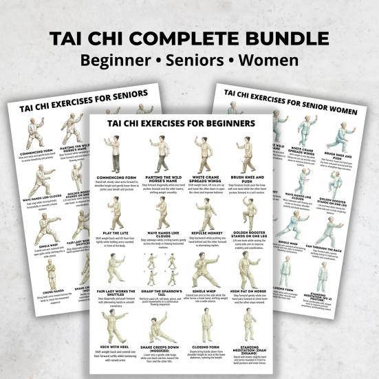 3er Set Tai Chi Übungsanleitung Poster für Senioren Anfänger Tai Chi Trainingsplan für Ältere Gelenkschonend Gleichgewicht Mobilität Heimtraining